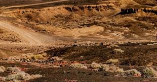 台北大巨蛋 2026 开幕战预售热潮：单日预售票突破 3.5 万张，有望刷新 CPBL 揭幕纪录